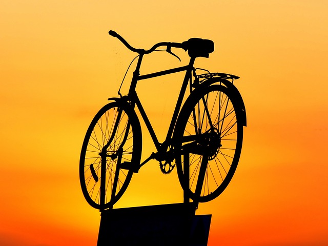 Alles wat je moet weten over fietsen: van onderhoud en reparatie tot geschiedenis en veiligheid